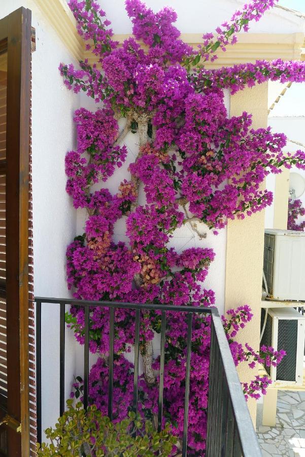 Sunny Coastal 1 Bed Apartment - Vera Coast: 2Mins To Beach Los Amarguillos Exterior foto